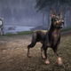 Illustration for article titled Lionhead Puts The Poodle in Fable III